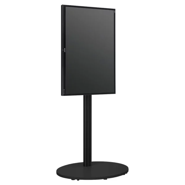 65" TV + Stand